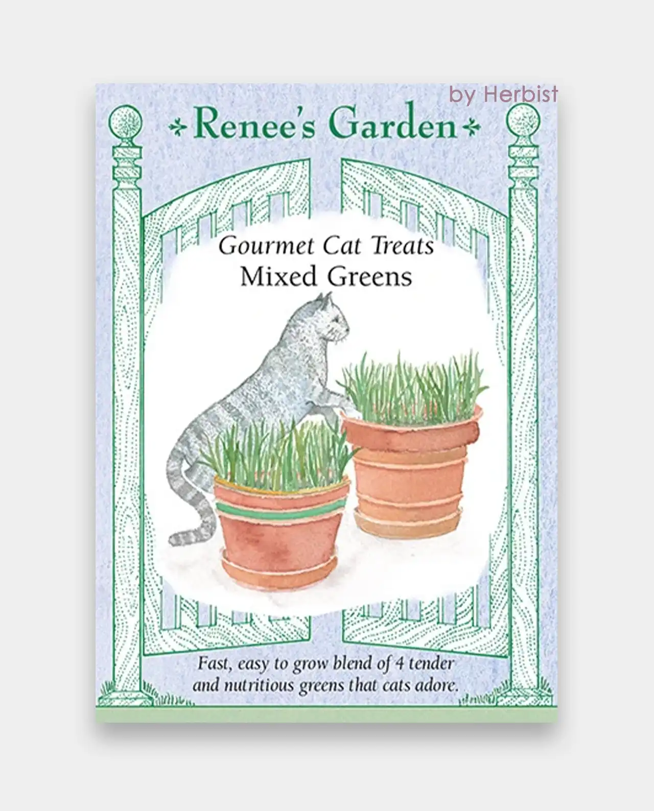 หญ้าแมว Gourmet Mixed Greens