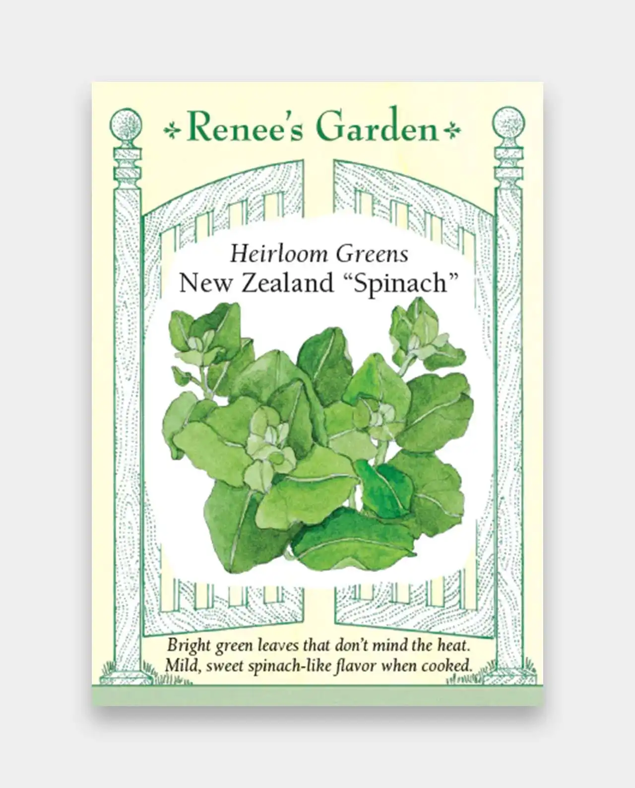 สปิแนช Greens New Zealand Spinach