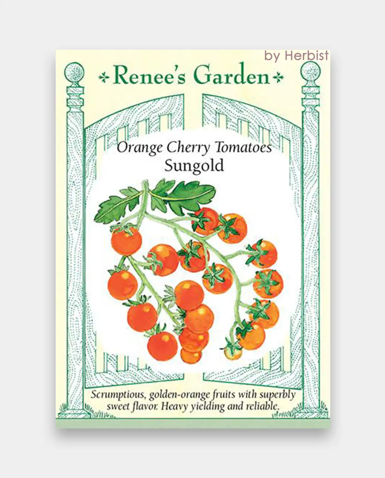 มะเขือเทศเชอรี่ Sungold Cherry Tomatoes
