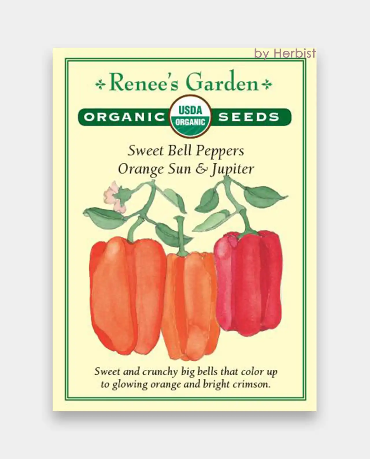 พริกหวาน ออร์แกนิค Orange Gilboa & Red Yardenne Sweet Bell Peppers