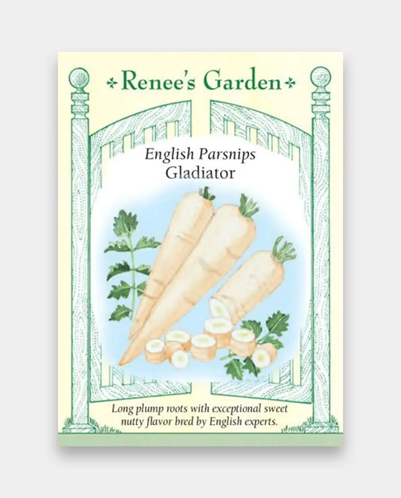 พาร์สนิป English Parsnips Gladiator
