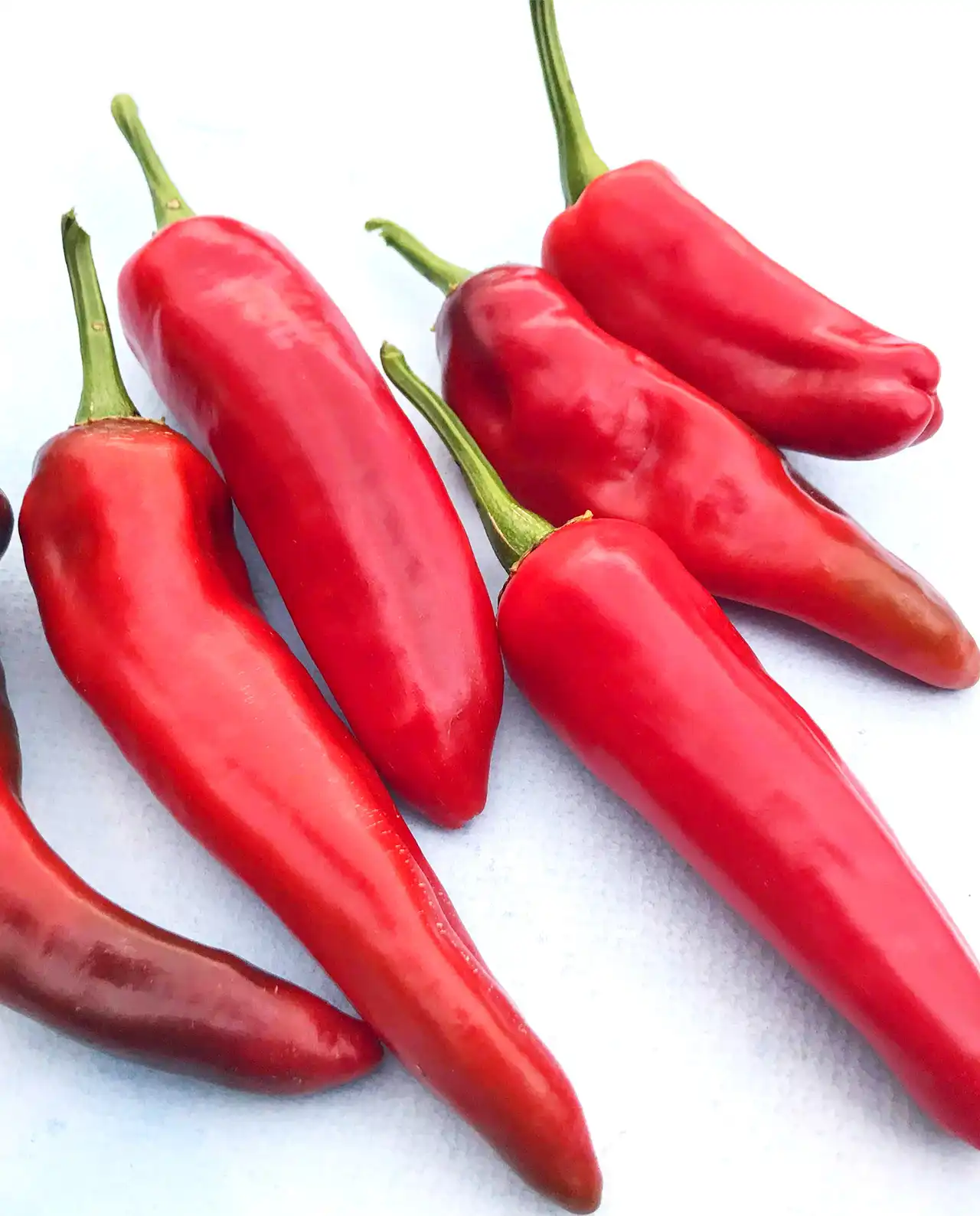 พริกปาปริก้า Hungarian Magyar Paprika Pepper