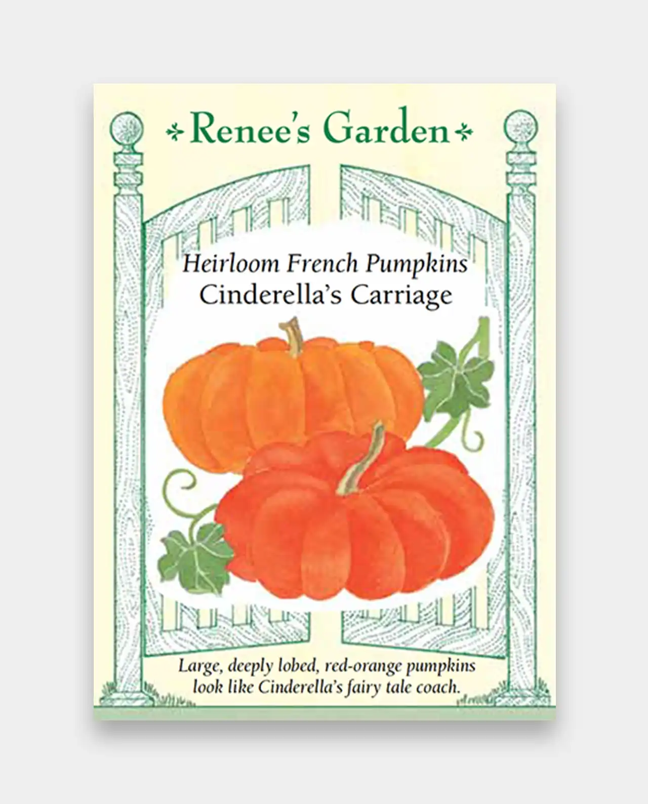 ฟักทอง Pumpkins Cinderella's Carriage
