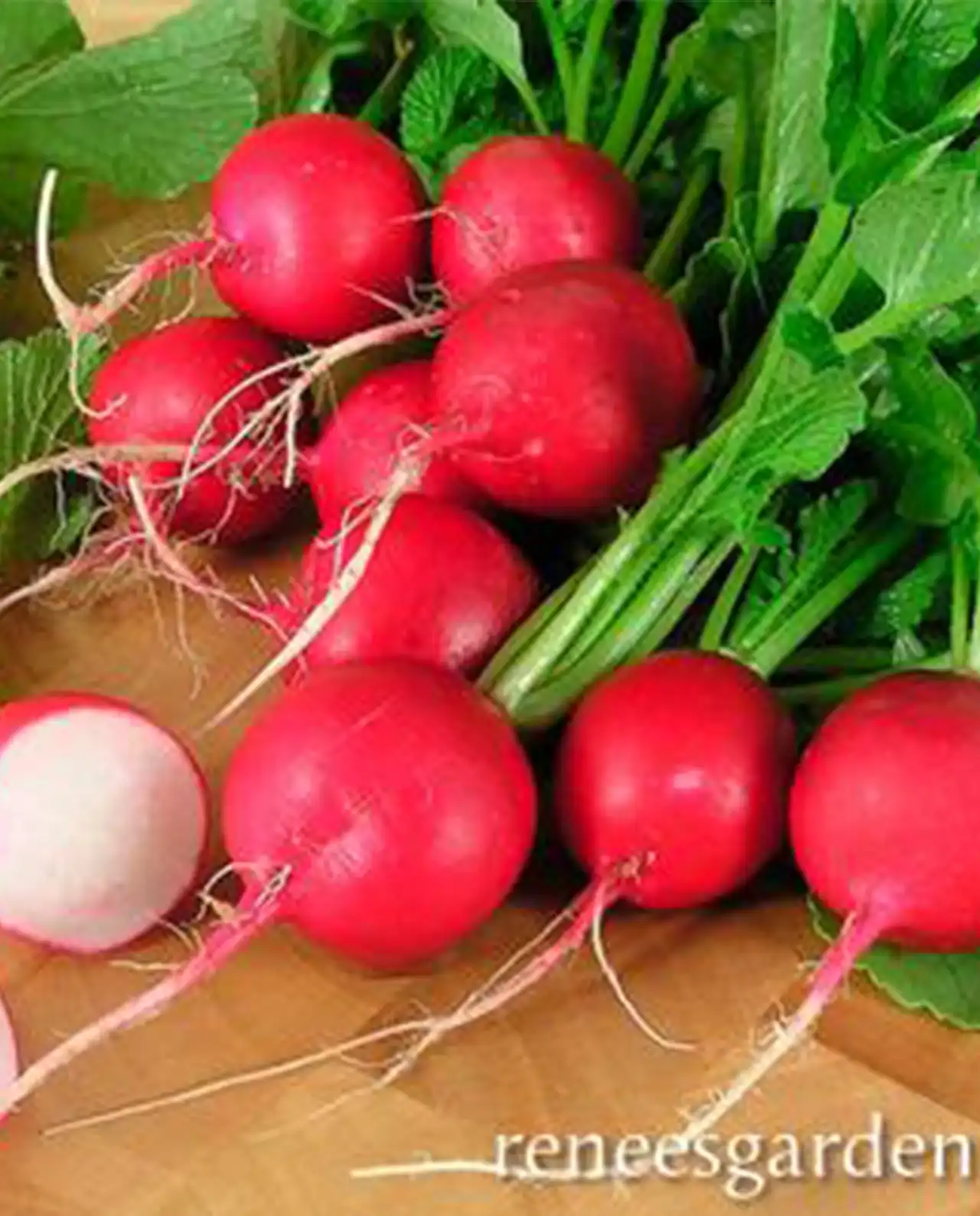 แรดิช Round Red Radishes Crimson Crunch