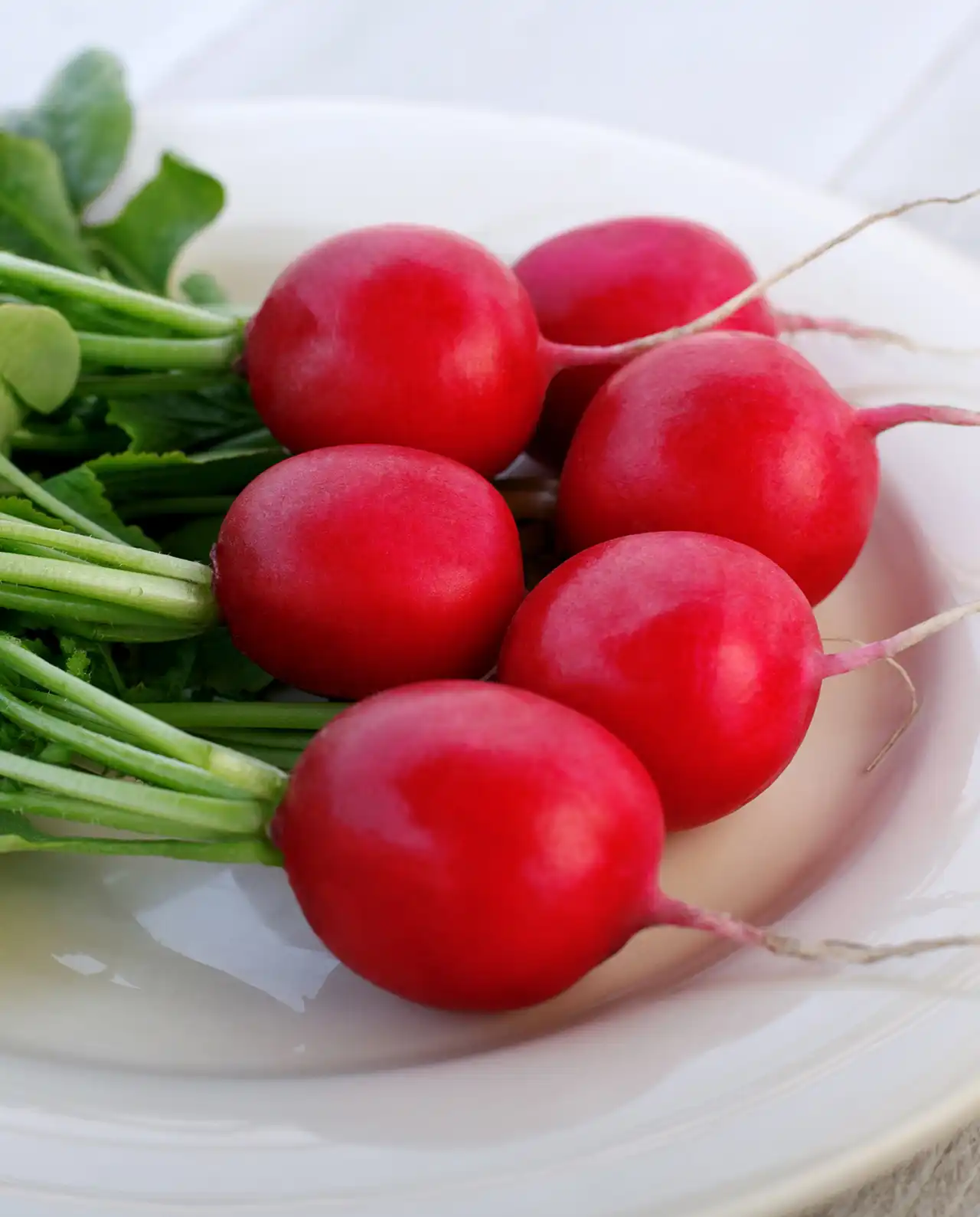 แรดิช Round Red Radishes Crimson Crunch