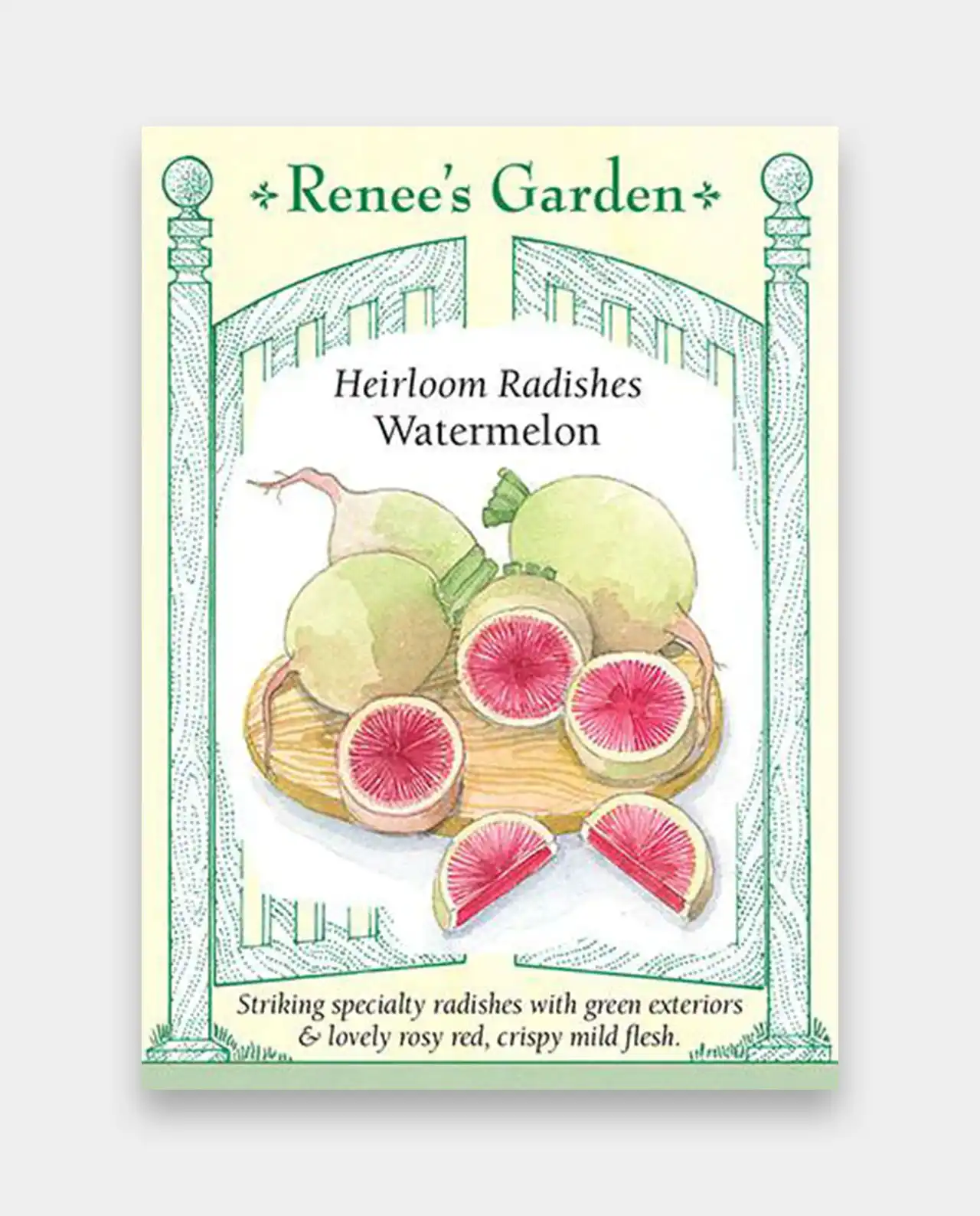 แรดิช Radishes Watermelon