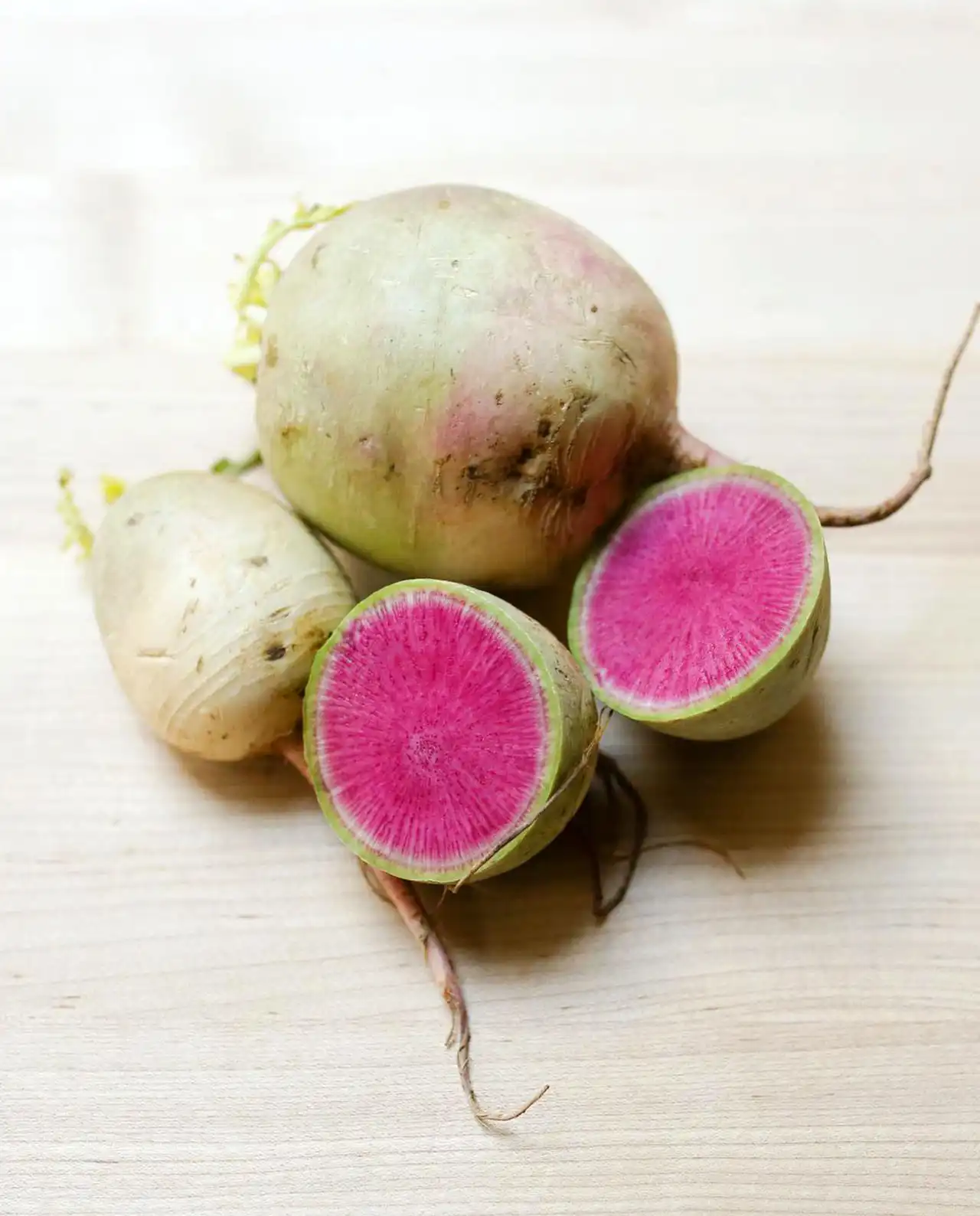 แรดิช Radishes Watermelon
