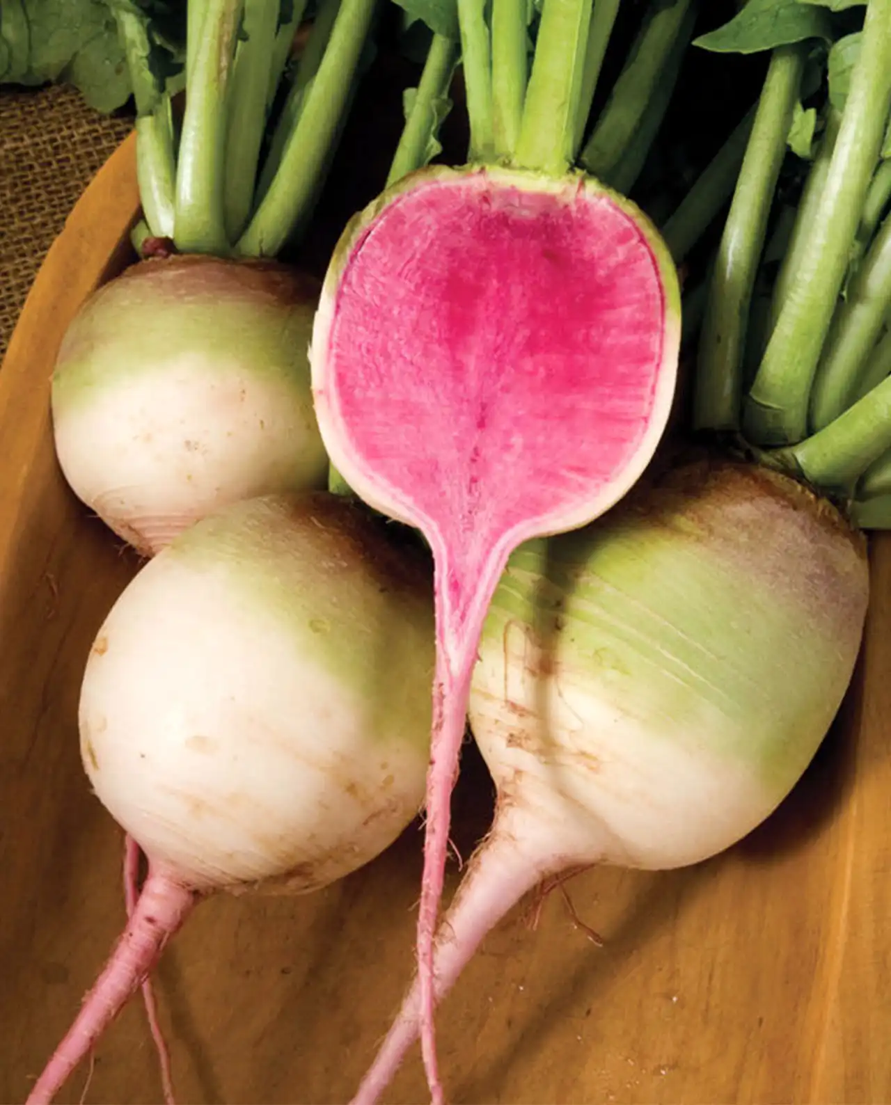 แรดิช Radishes Watermelon