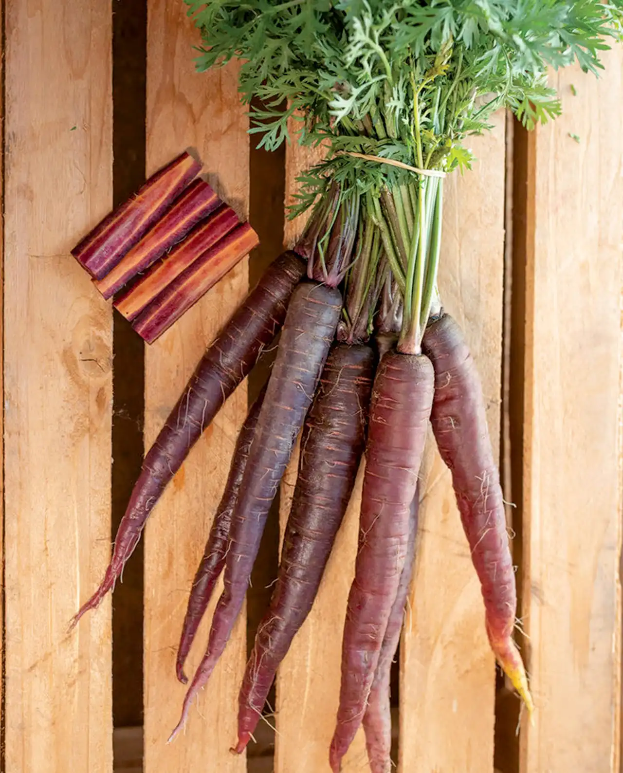 แครอท Purple Sun Rainbow Carrots