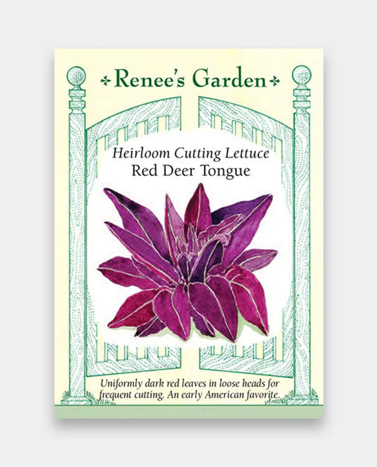 ผักกาดหอม Lettuce Red Deer Tongue