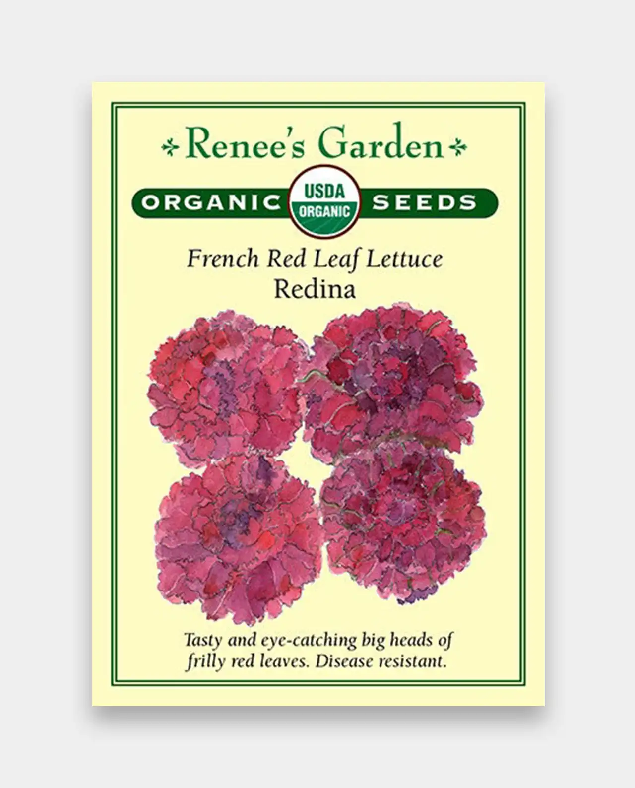ผักกาดหอม ออร์แกนิค French Redina