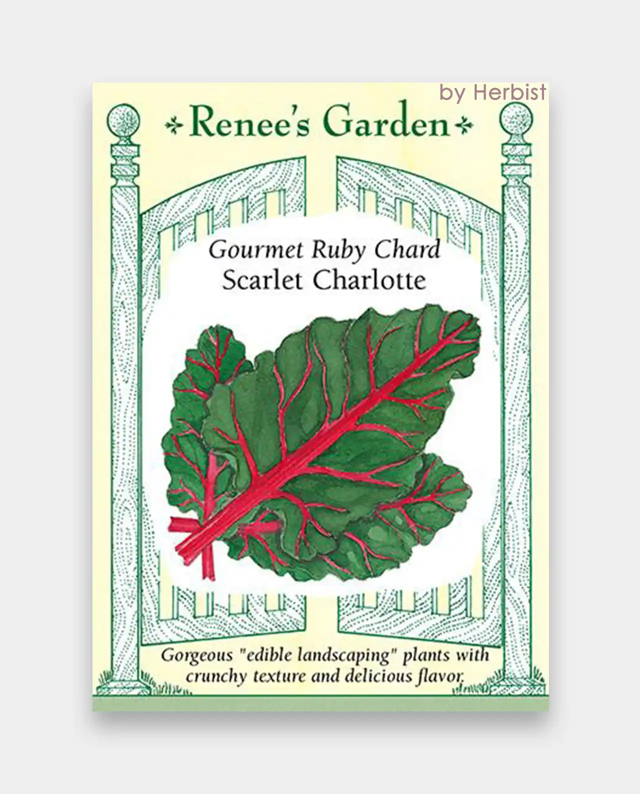 ชาร์ด Scarlet Charlotte Ruby Chard