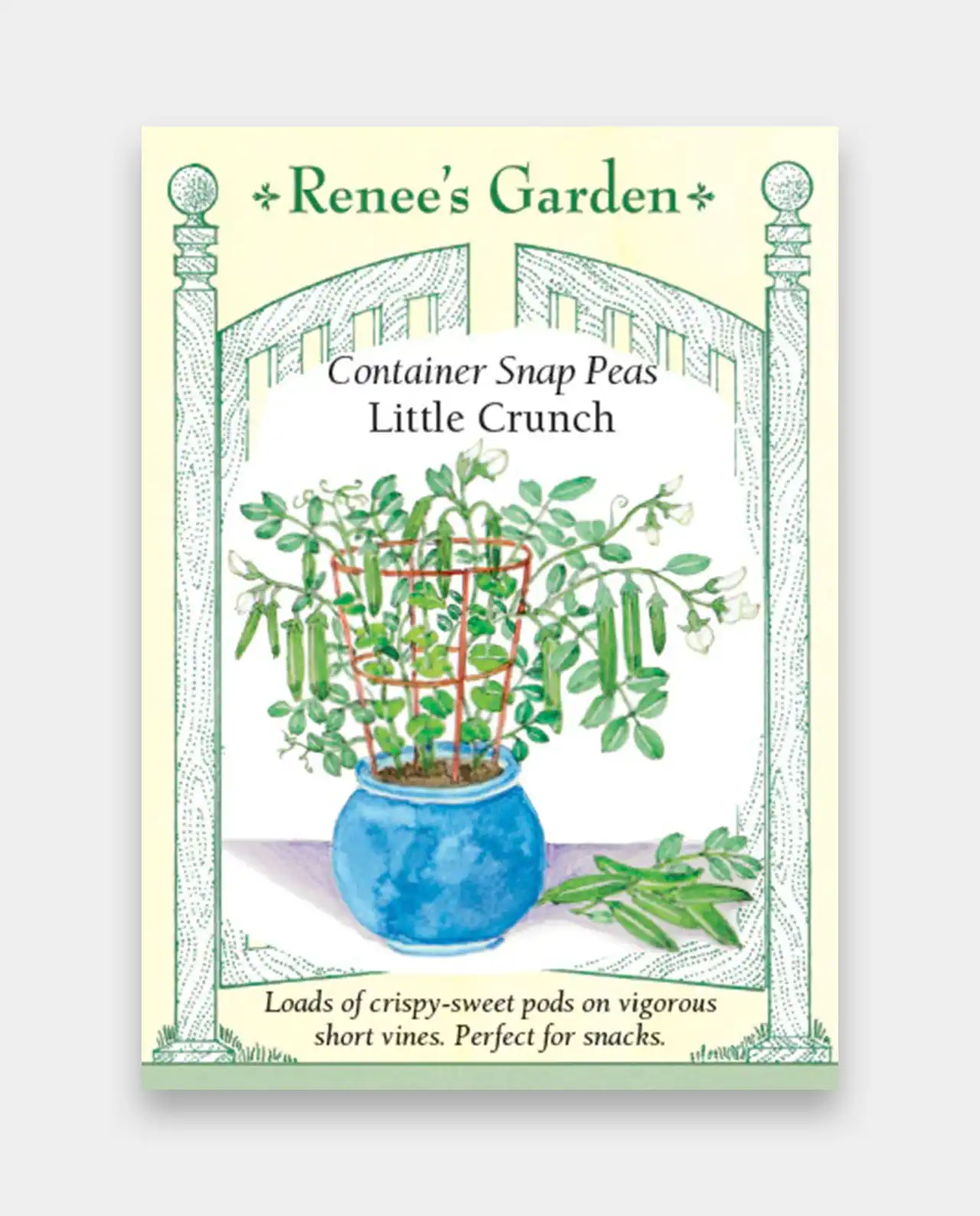 ถั่วสแนปพี Snap Peas Little Crunch