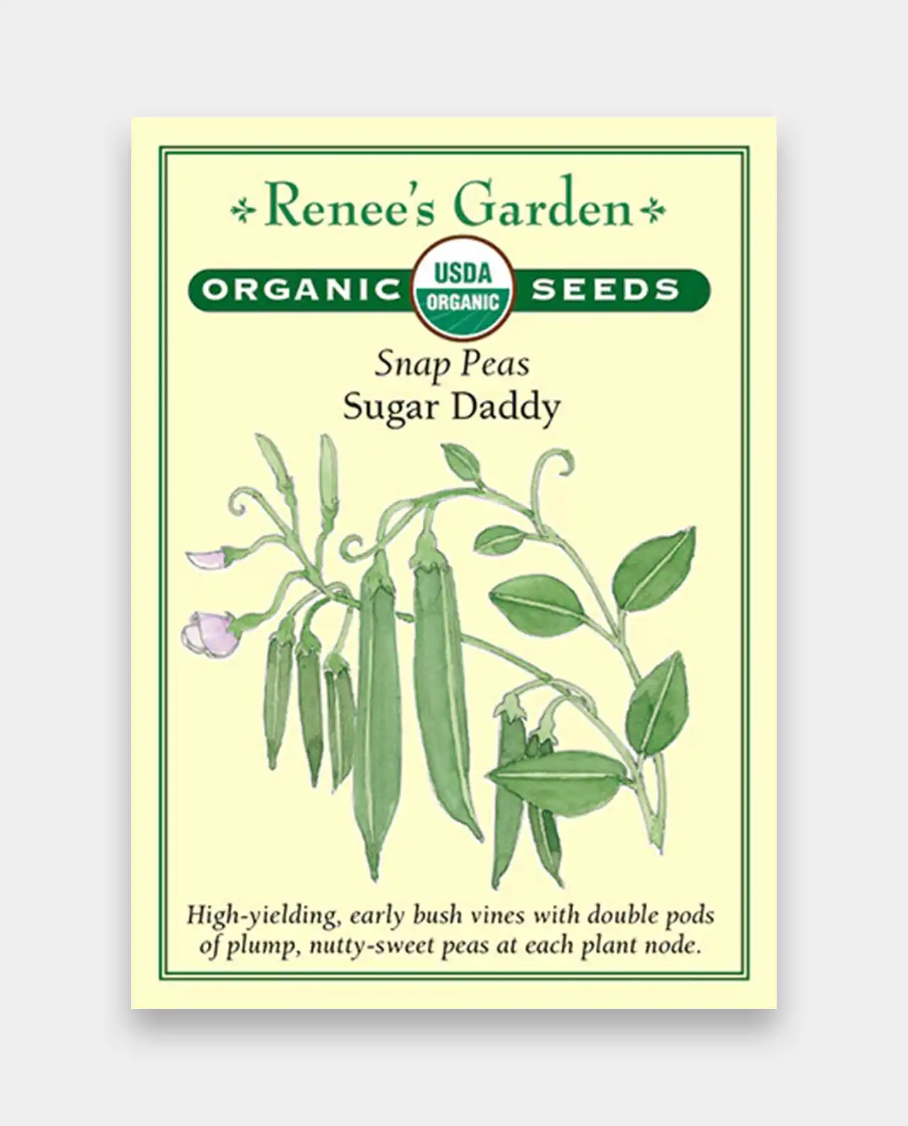 ถั่วสแนปพี ออร์แกนิค Snap Peas Sugar Daddy