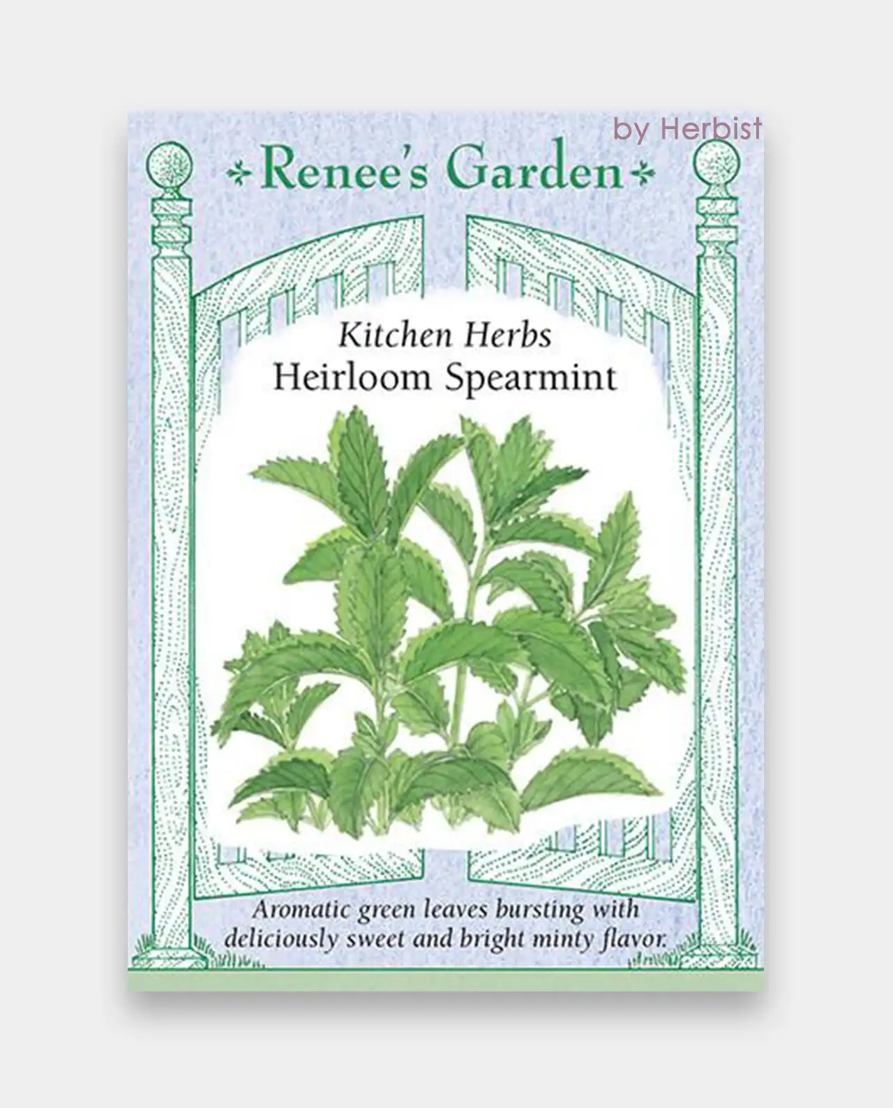 สเปียร์มินต์ Spearmint