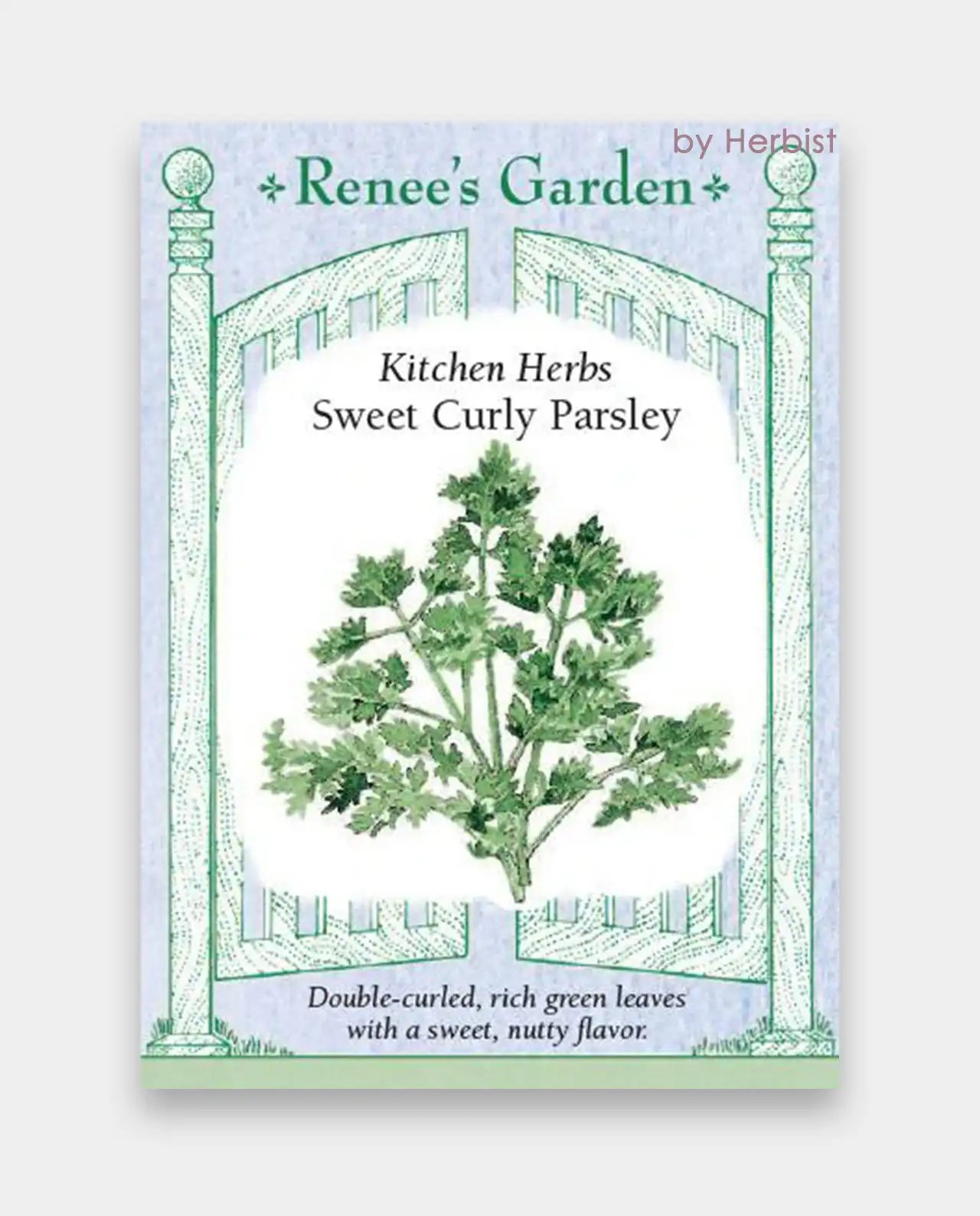 พาร์สลีย์ ใบหยิก Sweet Curly Parsley