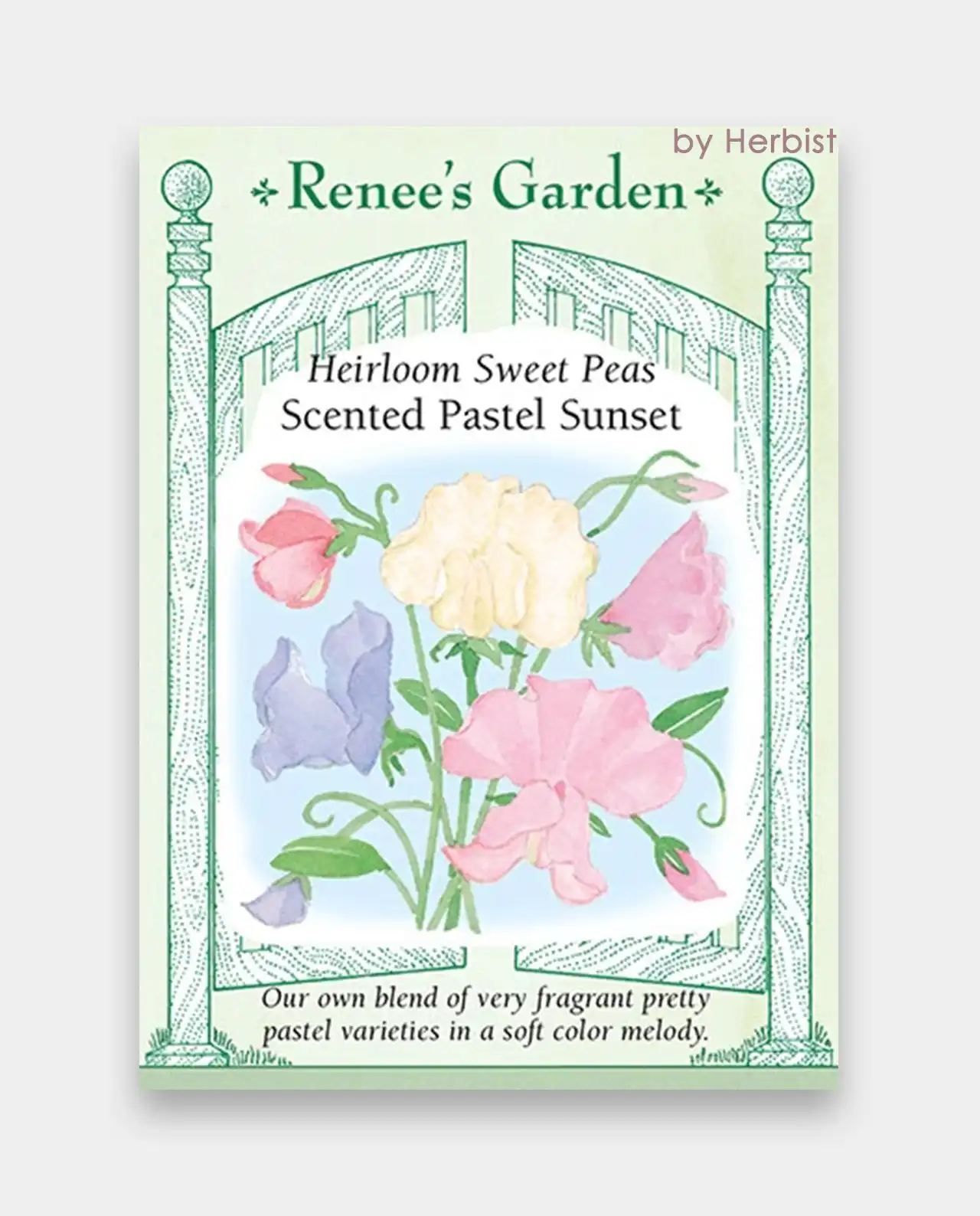 สวีทพี Scented Pastel Sunset Sweet Peas