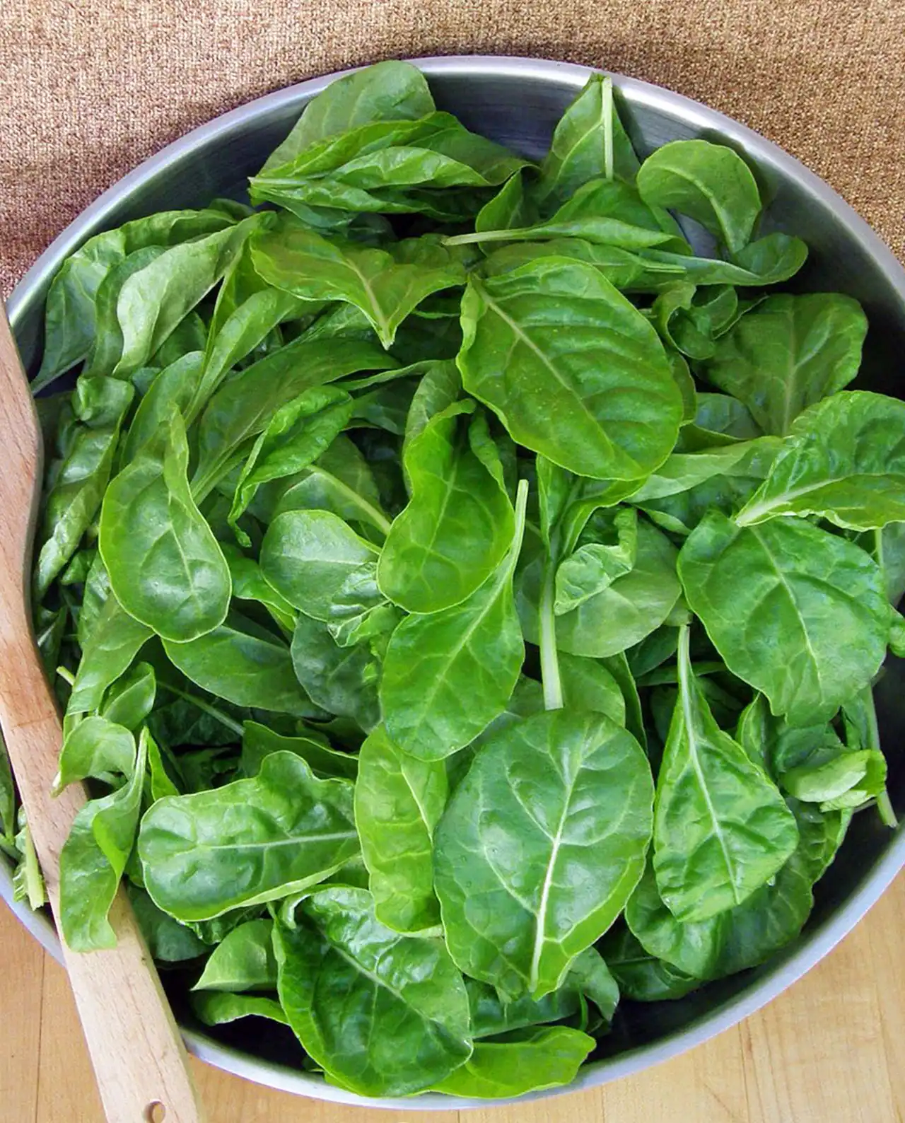 ชาร์ด Special Baby Leaf Tender Chard