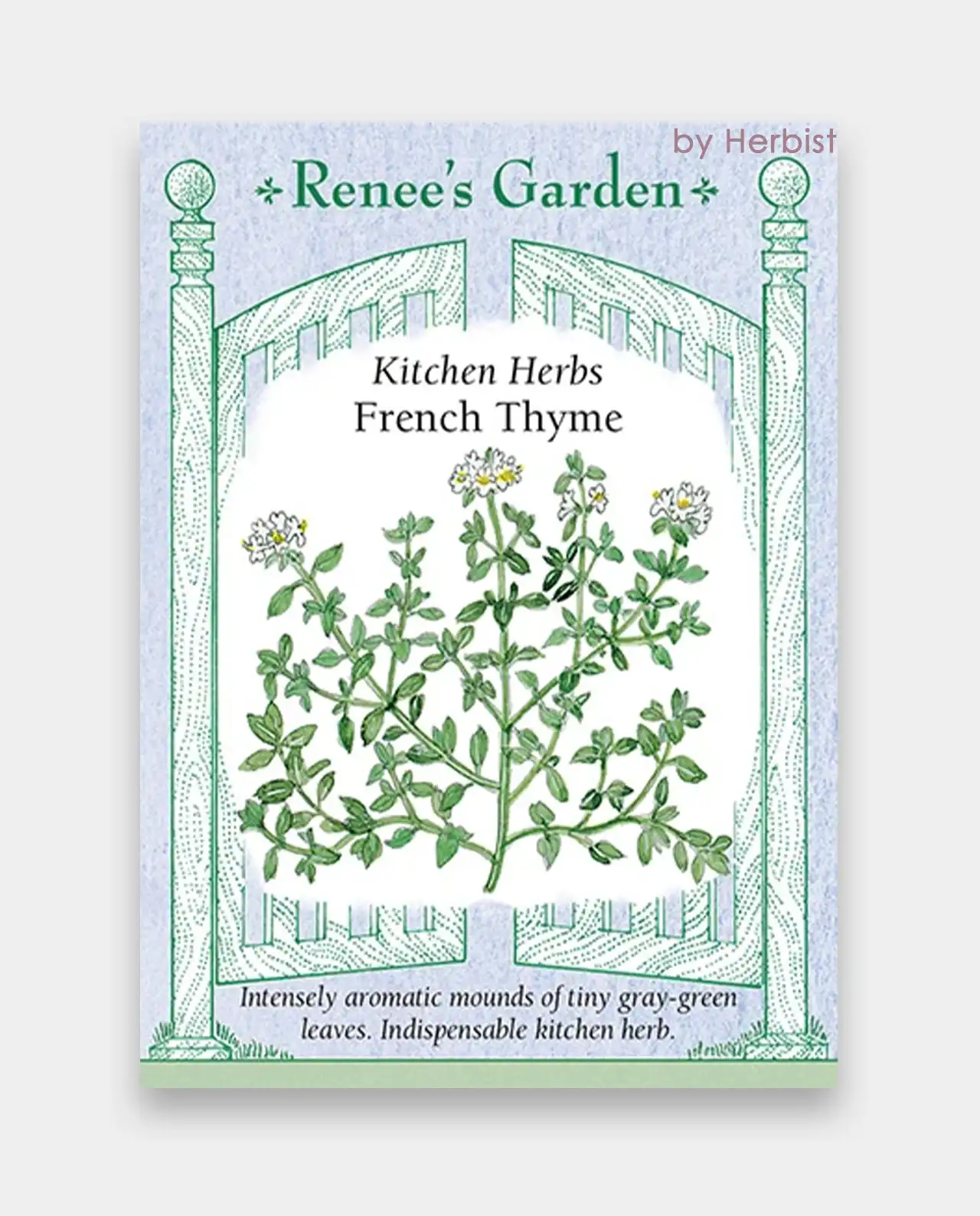 ไทม์ French Thyme