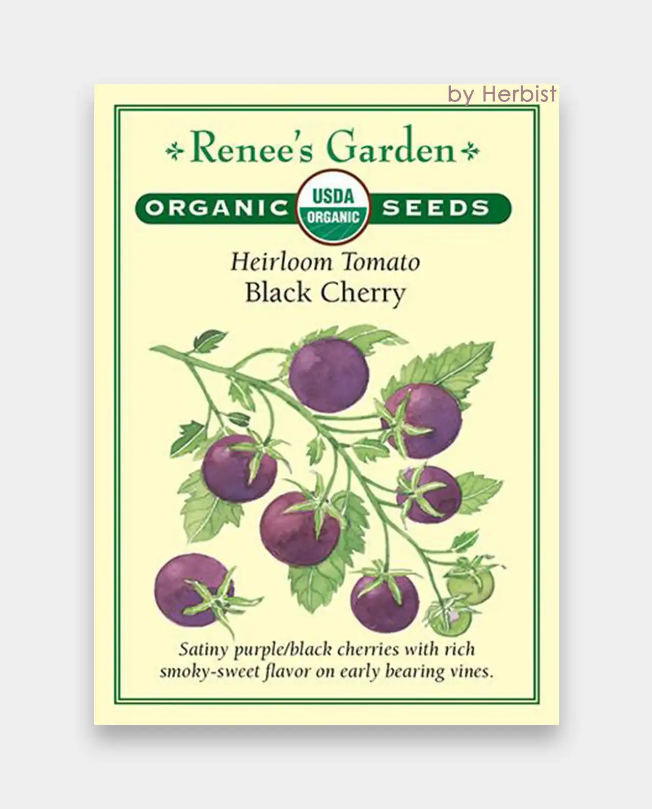 มะเขือเทศ ออร์แกนิค Black Cherry Tomato