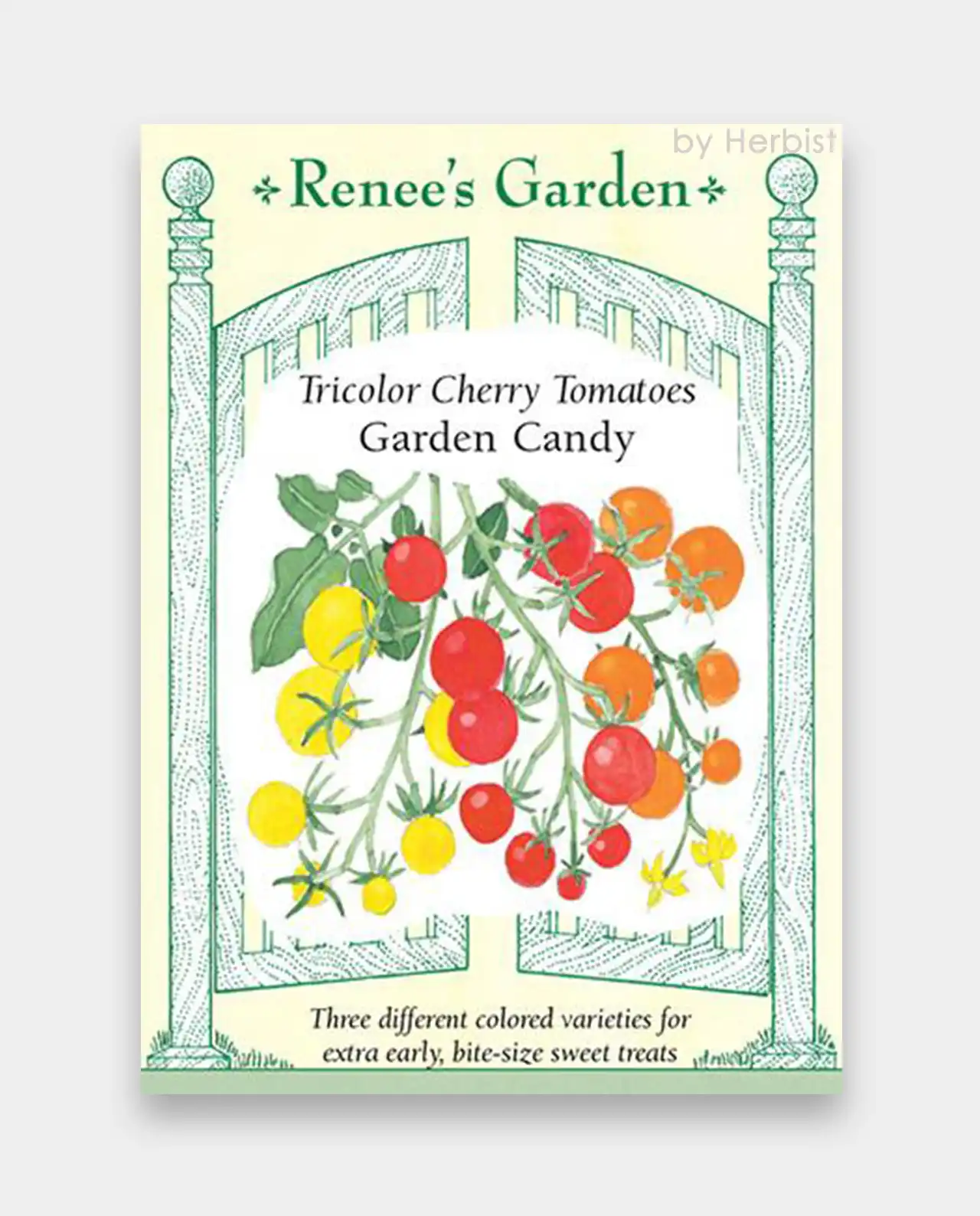 มะเขือเทศเชอรี่ Cherry Tomatoes
