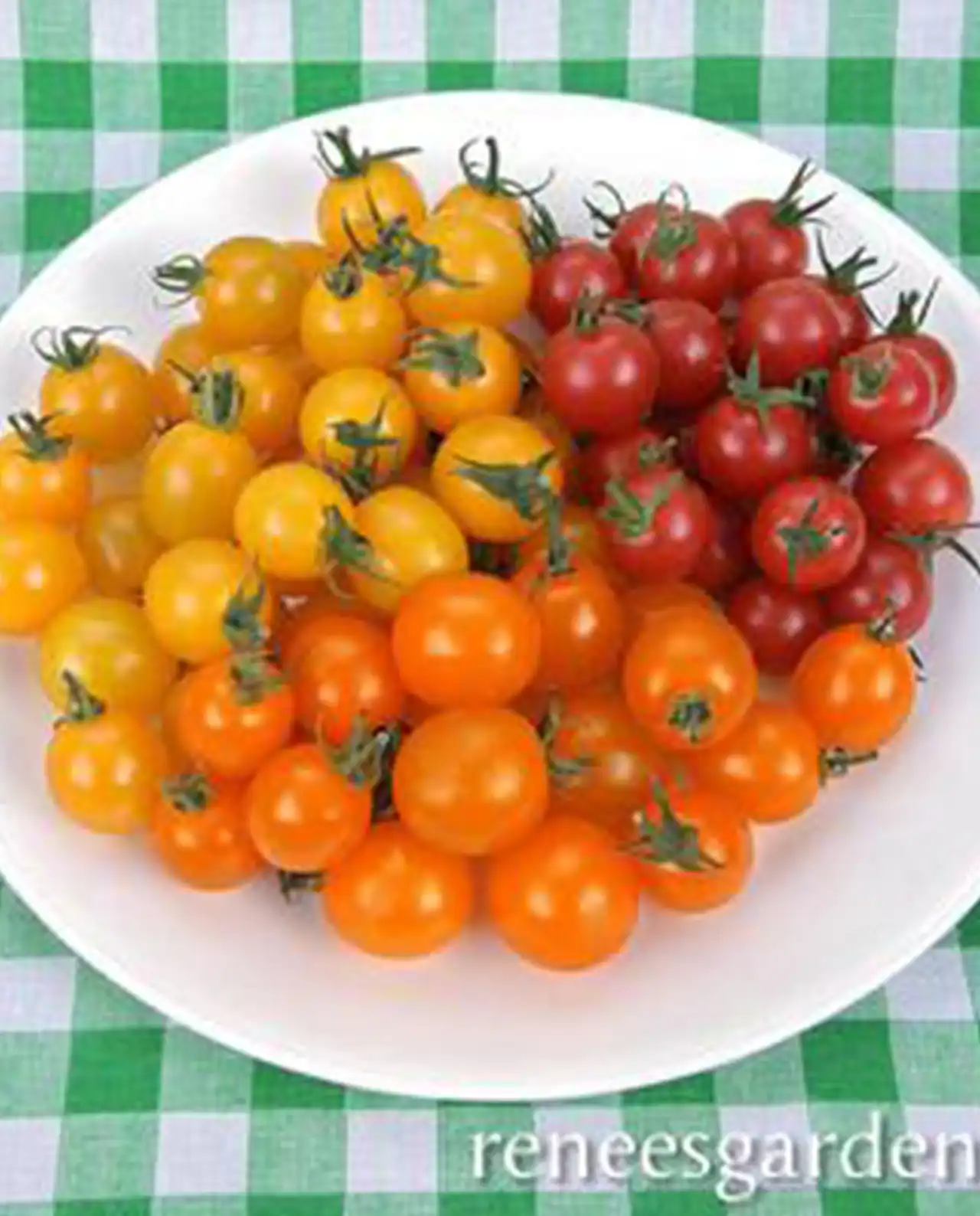 มะเขือเทศเชอรี่ Cherry Tomatoes