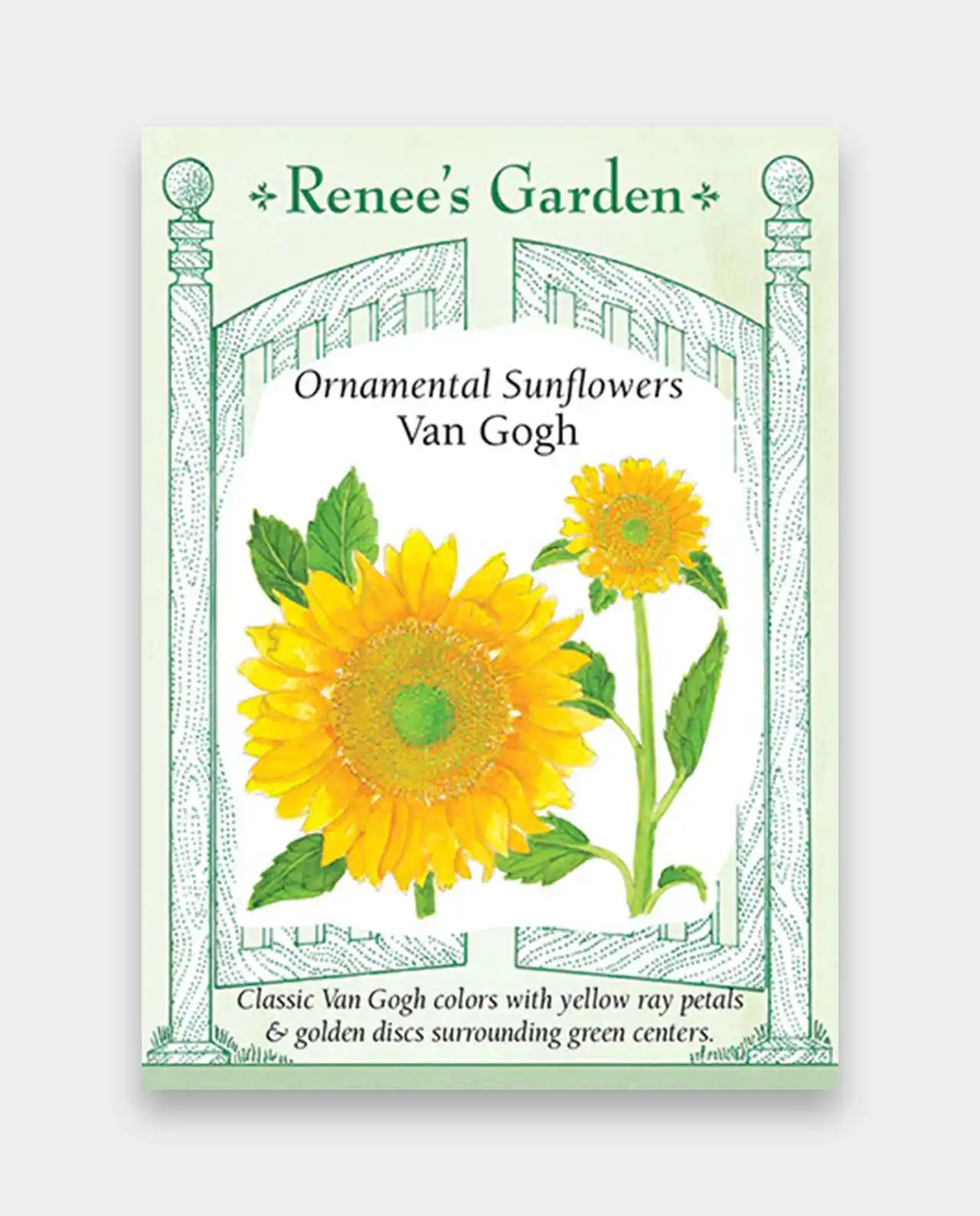 ดอกทานตะวัน Sunflowers Van Gogh