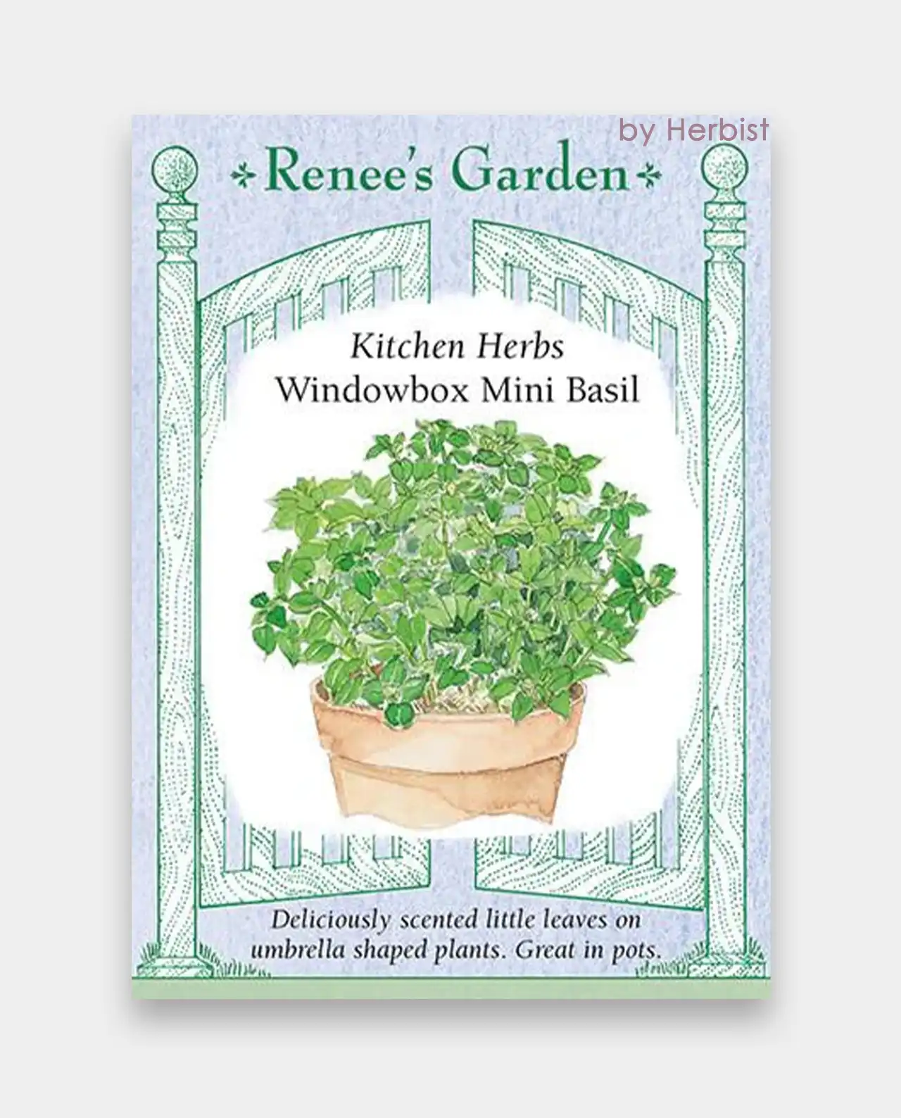 เบซิล Windowbox Mini Basil