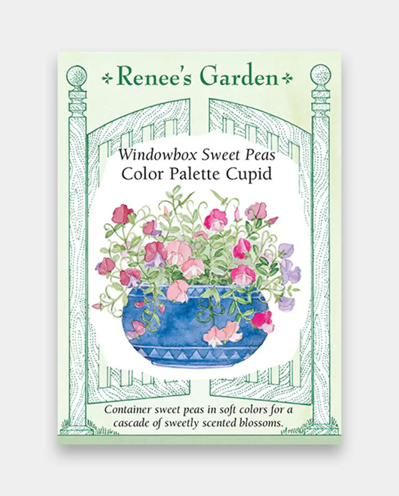 สวีทพี Sweet Peas Color Palette Cupid